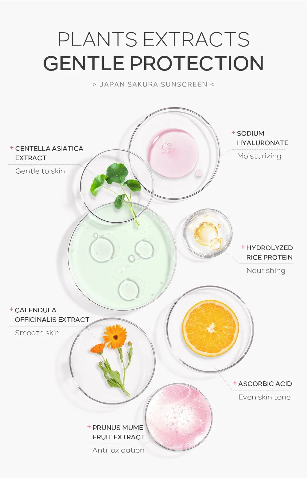 LAIKOU Sakura Korean Sun Shield SPF50+ Cream