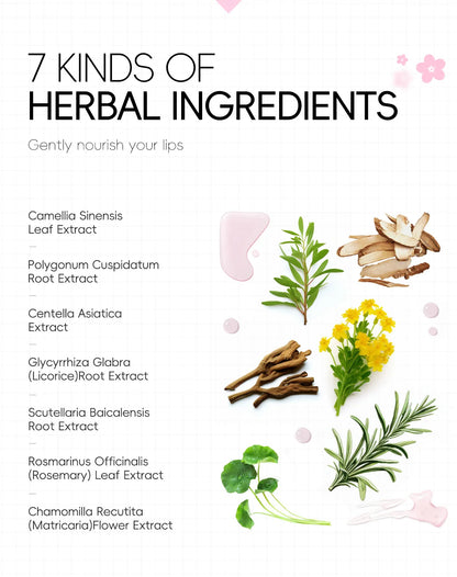 Japan Sakura Lip Repair Mask – Hydrate & Plump Overnight