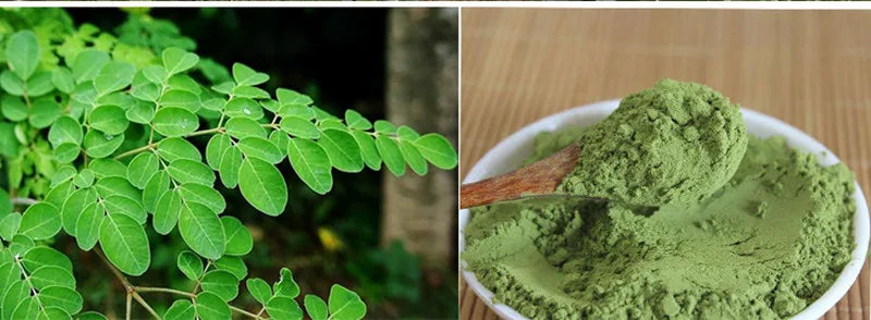 Organic Moringa
